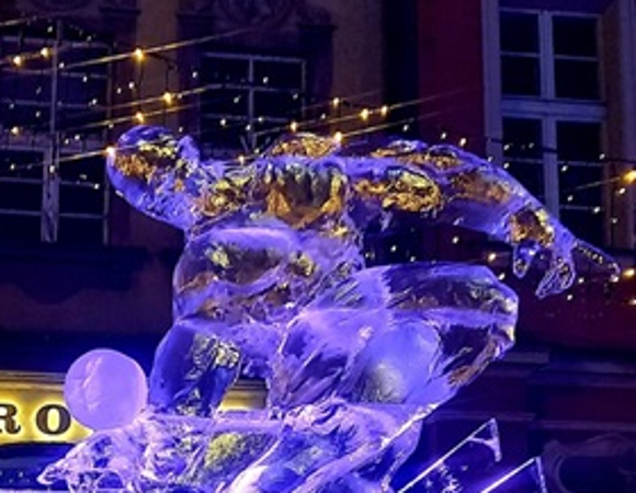 POZnan_Ice_Festival_2024_zgłoszenia Icefestival